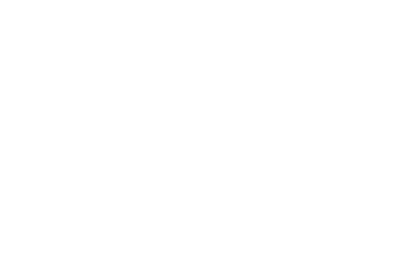 Berkovich Consulting Logo